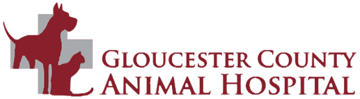 Gloucester County Animal Hospital Logo