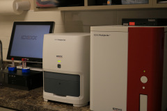blood-machines