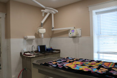 dental1
